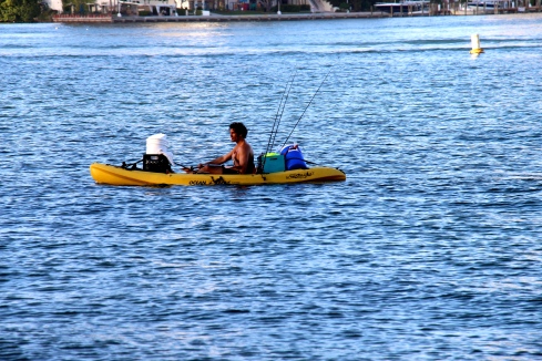 Kayaking_Miami_Vashti Quiroz-Vega's Blog