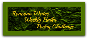 ronovan-writes-haiku-challenge-shadow